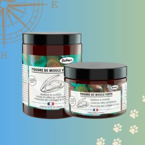 Poudre de Moules Vertes