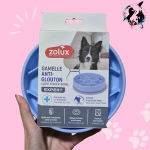 Gamelle Anti-Glouton Bleue