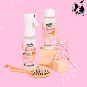 Easy Shine Intense