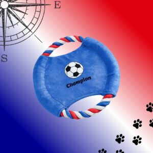 Frisbee France
