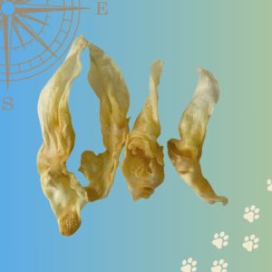 Oreille de Lapin sans Poils