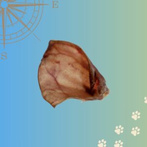 Oreille de Porc